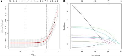 Development and validation of a newly developed nomogram for predicting the risk of deep vein thrombosis after surgery for lower limb fractures in elderly patients